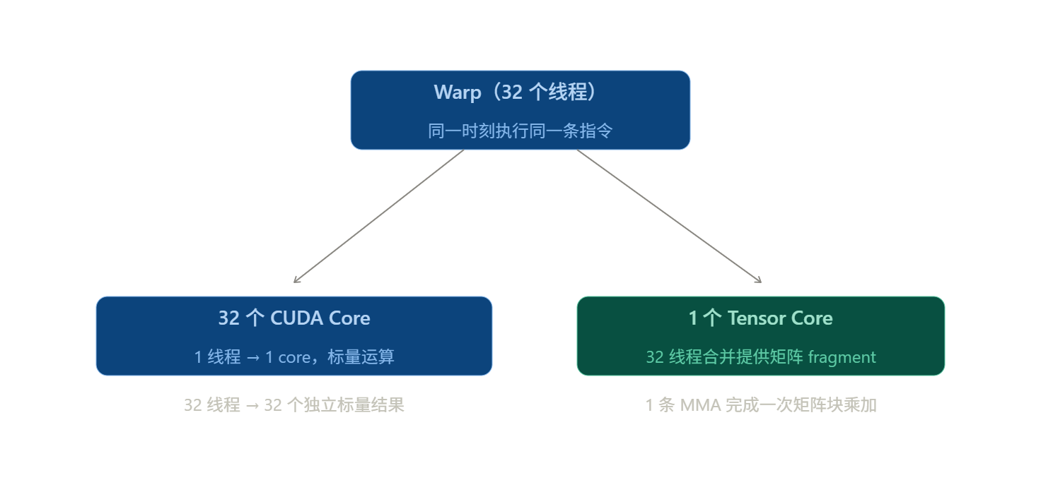 GPU 中 CUDA Core 与 Tensor Core 两条计算路径